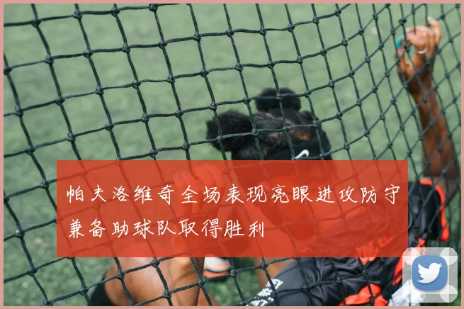 帕夫洛维奇全场表现亮眼进攻防守兼备助球队取得胜利